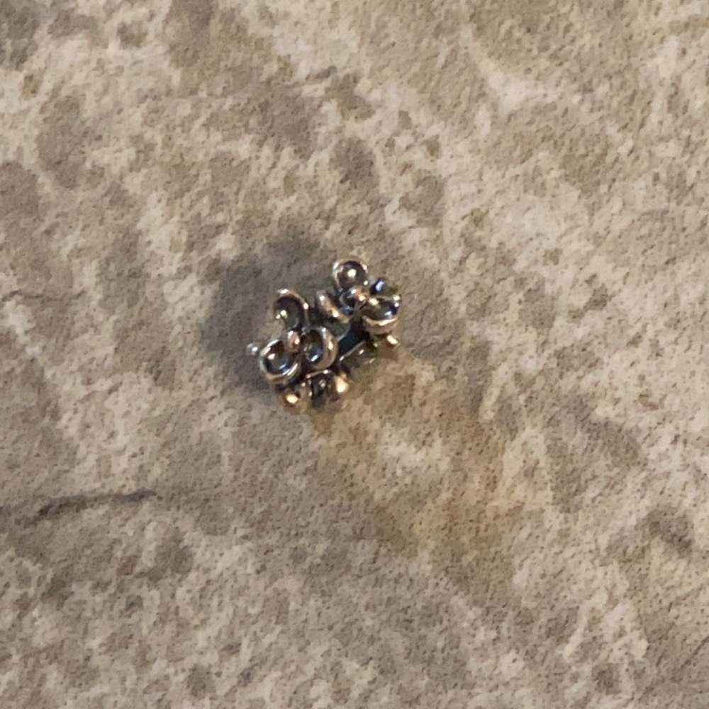 Pandora Charm